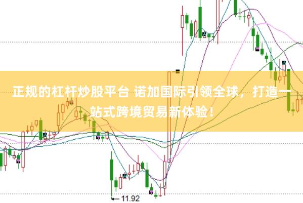 正规的杠杆炒股平台 诺加国际引领全球，打造一站式跨境贸易新体验！