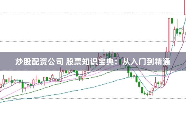 炒股配资公司 股票知识宝典：从入门到精通