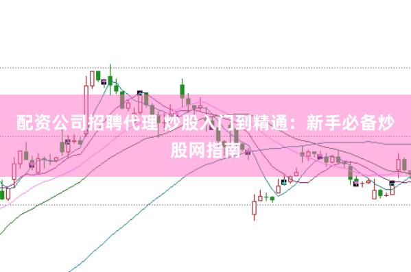 配资公司招聘代理 炒股入门到精通：新手必备炒股网指南