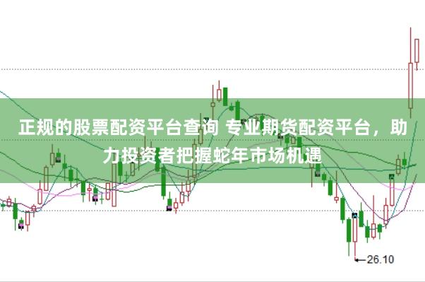 正规的股票配资平台查询 专业期货配资平台，助力投资者把握蛇年市场机遇