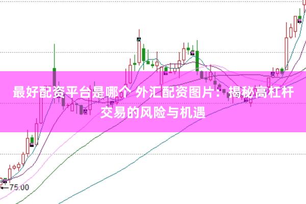 最好配资平台是哪个 外汇配资图片：揭秘高杠杆交易的风险与机遇