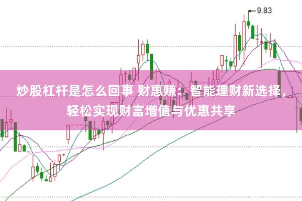 炒股杠杆是怎么回事 财惠赚：智能理财新选择，轻松实现财富增值与优惠共享