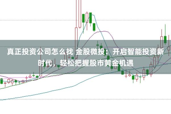 真正投资公司怎么找 金股微投：开启智能投资新时代，轻松把握股市黄金机遇