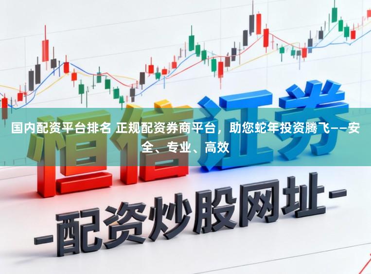 国内配资平台排名 正规配资券商平台，助您蛇年投资腾飞——安全、专业、高效
